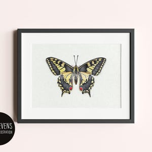 Swallowtail Butterfly Painting: A5 Watercolour & Ink, British Wildlife