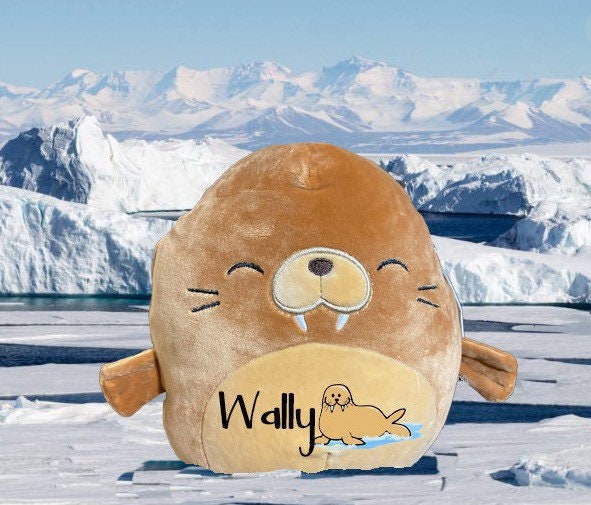 Custom Walrus Squishmallow Pillow Personalized KellyToy | Etsy