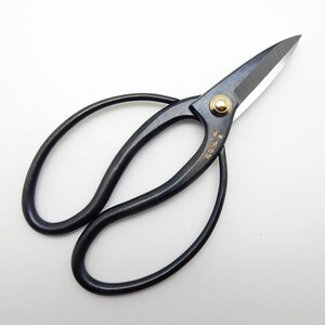 May include: Black pruning shears with gold accents and a sharp blade. The shears have a curved handle for a comfortable grip.