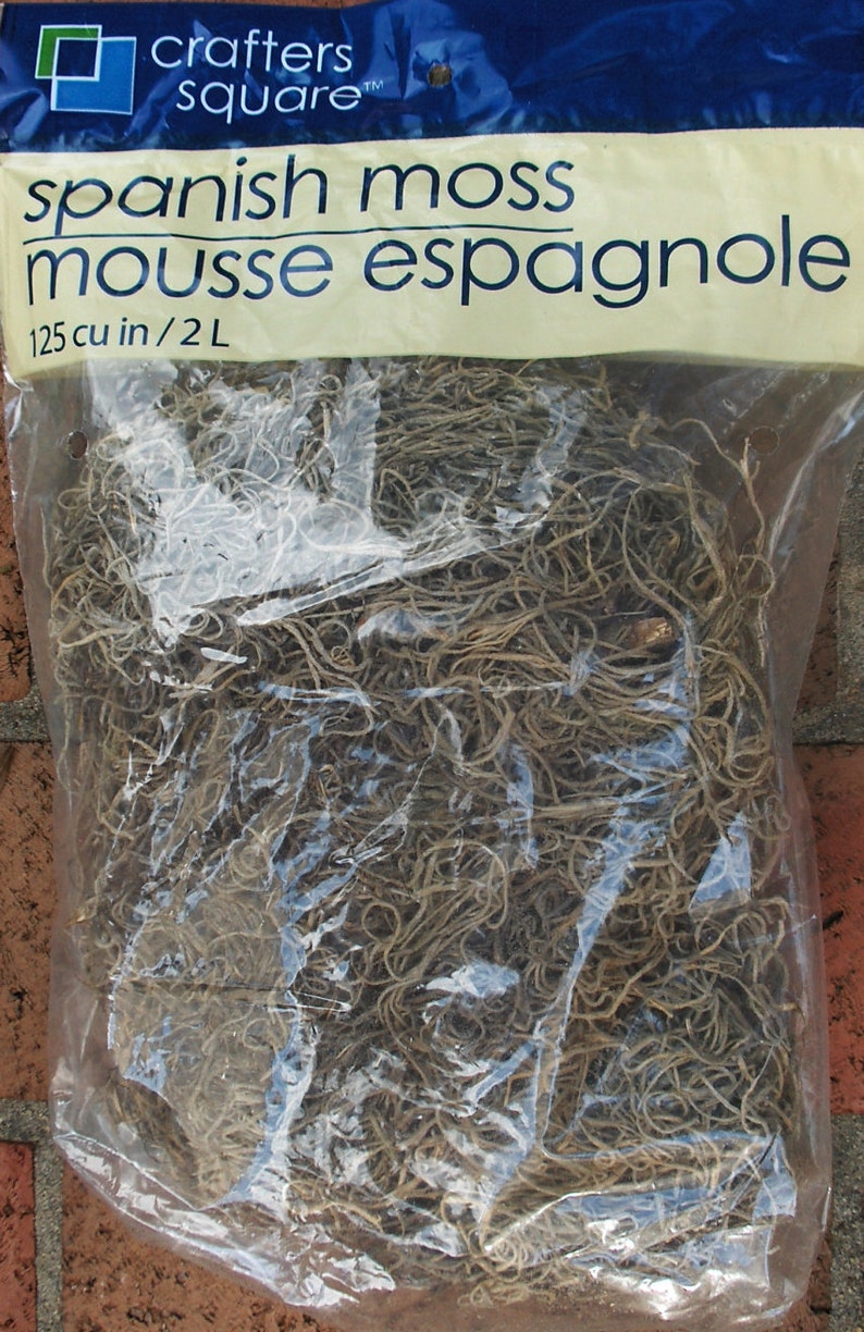 SPANISH MOSS CRAFT Projects Decorative Enhancement Soil Cover Etsy