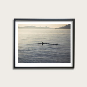 Orcas, Sunset Photography Print, San Juan Islands Wall Decor, Washington Art