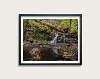 Fall Forest Waterfall Photography, Orcas Island, Autumn Landscape Print