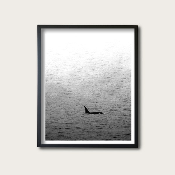Orca Photography Print, Ocean, Waves, Water, Killer Whale, Wall Art Print, Decor