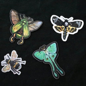 Insect Vinyl Stickers, Bumble Bee, Scarab Beetle, Luna Moth, Death Moth, laptop sticker, sticker for water bottle, insect decals