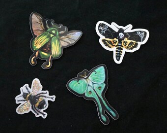 Insect Vinyl Stickers, Bumble Bee, Scarab Beetle, Luna Moth, Death Moth, laptop sticker, sticker for water bottle, insect decals