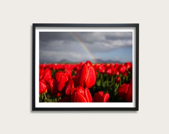 Tulip Field Rainbow Photography Print, Pacific Northwest Floral Wall Art, Flower Field, Landscape Art