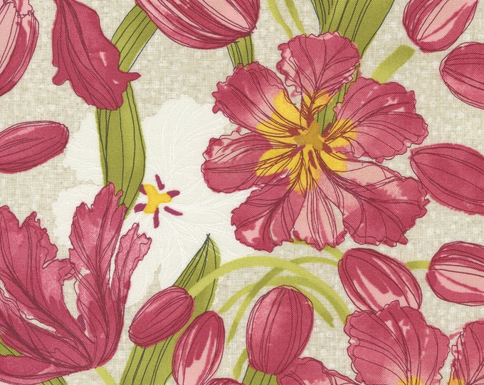 Tulip Tango by Robin Pickens for Moda -  48710-11 Tulips Cream - 1/2 yd Increments, Cut Continuously OR Fat Quarter