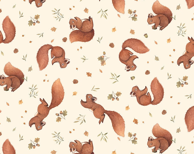 Little Fawn & Friends by Dear Stella -  DNS1907 Squirrels in Cream - 1/2 yd Increments or Fat Quarters, Cut Continuously