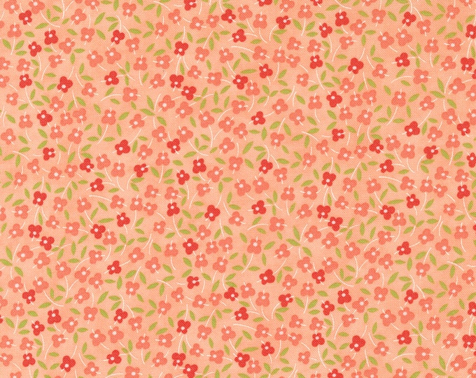 Strawberries & Rhubarb by Fig Tree for Moda -  20406-13 Meadow Apricot - 1/2 yd Increments, Cut Continuously OR Fat Quarter