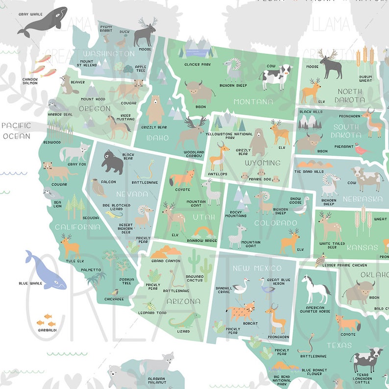 USA map US map wall art Map nursery art My first map Map Etsy