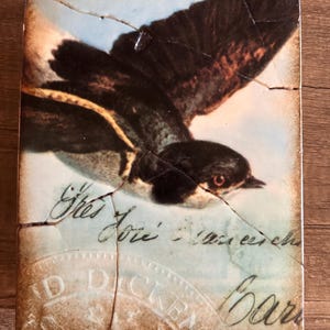Könnte beinhalten: Rechteckige dekorative Fliese mit einer Vintage-Illustration eines Vogels im Flug. Der Vogel hat schwarz-weiße Federn mit braunen Akzenten. Verblasster Text und ein Siegel sind auf der Fliese sichtbar, die ein verwittertes, rissiges Aussehen hat.