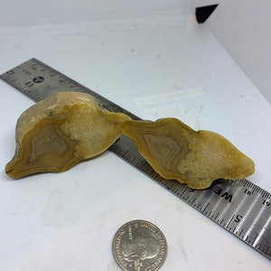 Crowley ridge agate fortified banded agate slab 3.76 oz 3 x 2  x 1 1/2 in. great for cab not polished Wil Cajun Rockhound