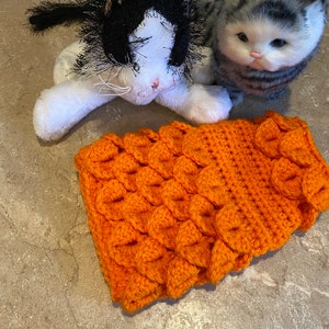 May include: A bright orange crocheted cat sweater with a textured, scale-like pattern.