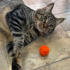 Catnip Toy Ball para gatos y gatitos paquete de 3 hecho a pedido