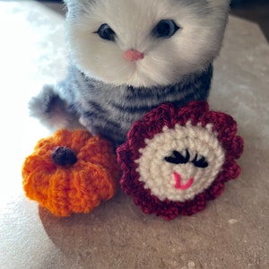 Paquete de 2 juguetes para gatos • Calabaza con hierba gatera + flor • para gatos y gatitos