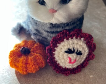 2 pack Cat Toy • Catnip pumpkin + Flower • for Cats & Kittens