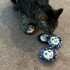 Cat Toys x 2 • Catnip Cat Toys • Crochet Cat Toys • Custom Colours