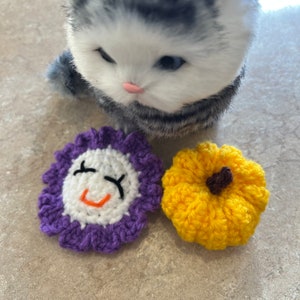 2 pack Cat Toy • Catnip pumpkin + Flower • for Cats & Kittens