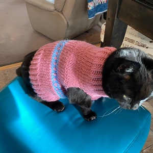 PDF Knit in the round - Adult Cat Sweater  Pattern