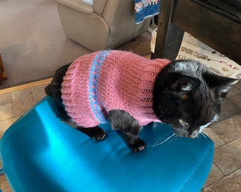 Knitting Pattern Lime dog cat sweater Top Down dog sweater pet clothes dog cat little dog DIY project knitted yorkie pets. Etsy France