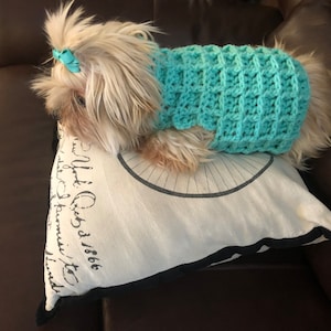 Peut inclure: Un petit chien blanc portant un pull en crochet bleu clair est assis sur un coussin blanc avec du texte noir et un motif de roue de vélo. Le chien a un nœud bleu clair dans les cheveux.