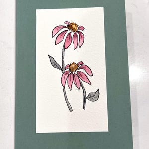 コーンフラワーカード 4 枚セット: オリジナル水彩画の空白カード、エキナセア、結婚式、シャワー、お悔やみ、お礼、母の日用カード