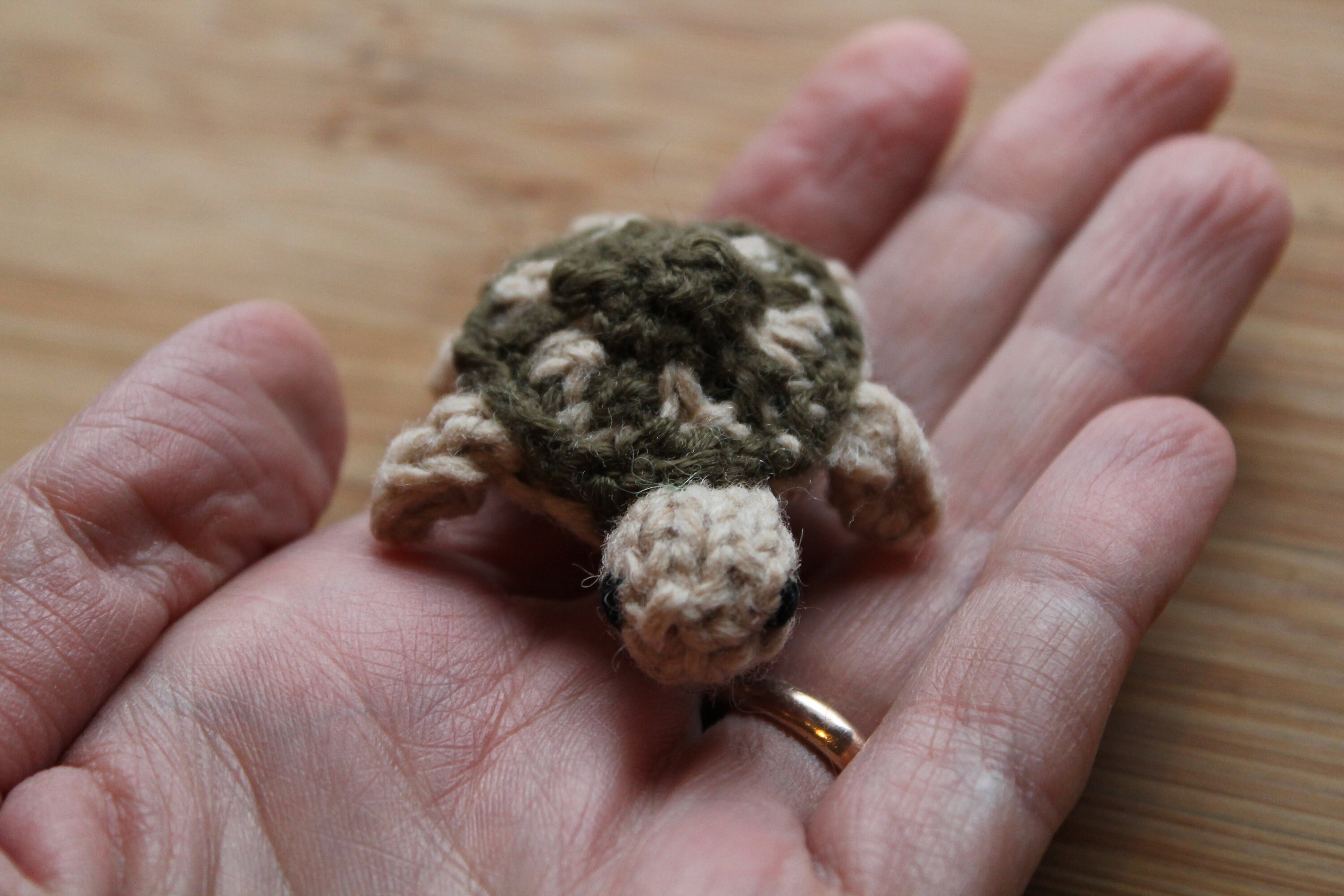 アトリエGG Modal Wool Turtle 0 Tortuga / TR06A – Oriental Weavers