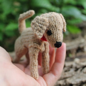 May include: A small, tan-colored knitted dog figurine with a red collar and black eyes and nose. The handmade toy dog is held in a person's hand, with a blurred green background.