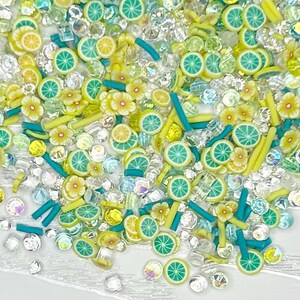 Konfetti Scrapaholics Shaker 17g - Letnie Cytrusy