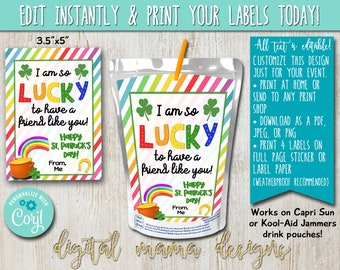 EDIT YOURSELF - PRINTABLE St Patrick's Day CapriSun Label - St. Patty's Day Kool Aid Jammers Tag - Class Lucky Charm Drink Pouch Printable