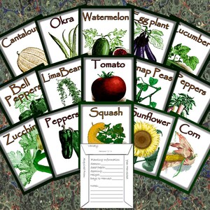 May include: A set of 12 vintage seed packets featuring illustrations of different vegetables and flowers. The packets are labelled with the names of the plants, including Cantaloupe, Okra, Watermelon, Eggplant, Cucumber, Bell Peppers, Lima Bean, Tomato, Snap Peas, Peppers, Squash, Sunflower, and Corn.