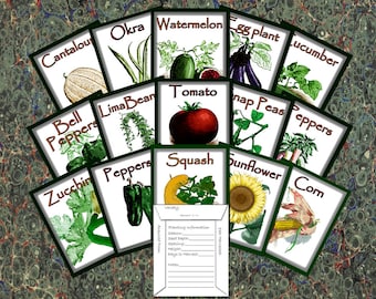 Summer Garden Vegetables - 15 Seed Saving Envelopes - Scrapbooking Decals Tags Cards Journaling Labels - Tomato Cucumber Beans Okra Peppers