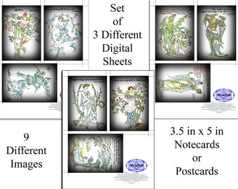 Flowers From Shakespeare-3.5x5 inch Note Cards Digital Collage THREE Sheet SET no4 - Scrapbooking, Altered Art, Decals, Invitations, Labels