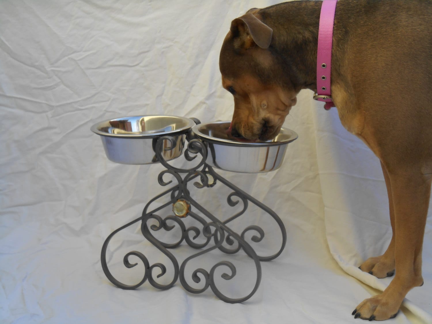 Royal Doggy Elevated Steel Dog Food Bowl Holder for the King Etsy