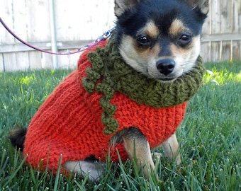 May include: A small black and tan dog wearing a red and green knitted sweater. The sweater has a pumpkin-shaped design with green leaves. The dog is sitting on green grass.