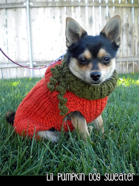 Lil Pumpkin Dog Sweater Knitting Pattern UK
