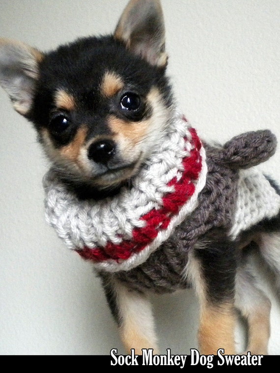 Sock Monkey Dog Sweater Knitting 
