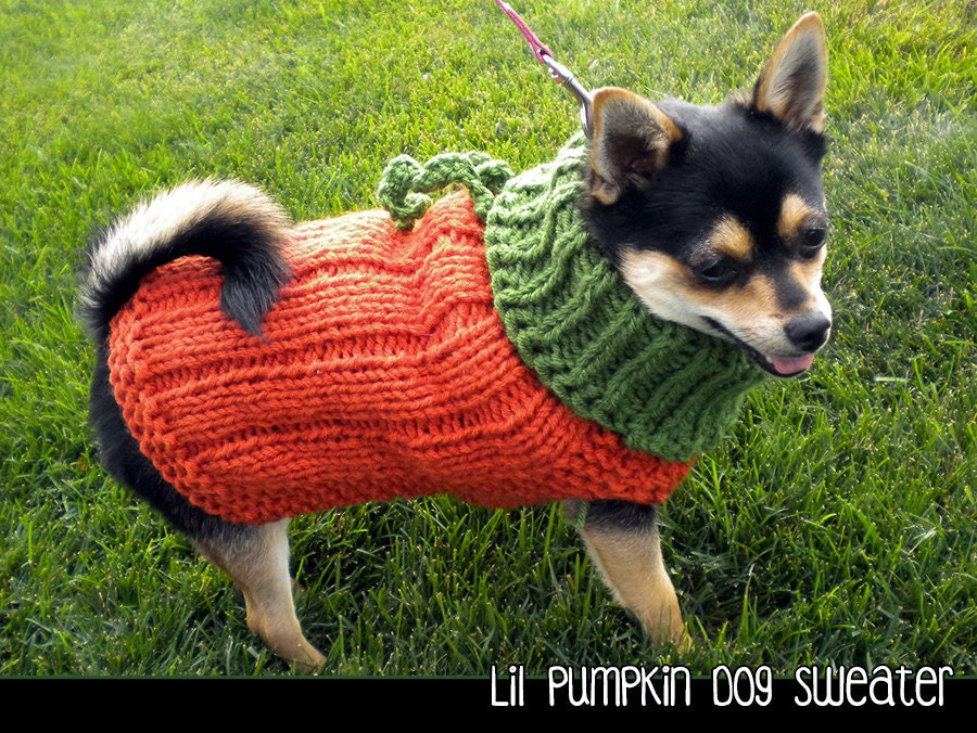 Dog pumpkin sweater sales