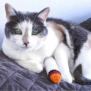 Patrones de articulaciones de gatito