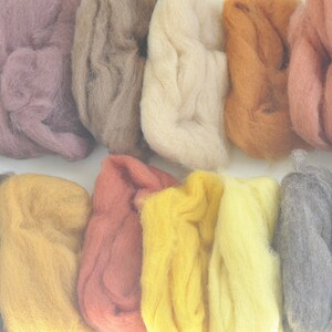 May include: A collection of 14 different colors of wool roving, including brown, beige, yellow, orange, and pink. The wool is arranged in rows and is ready for spinning or felting.