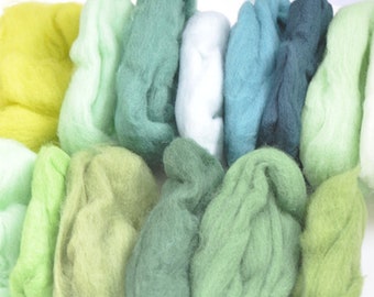 Colorful Needle Felting Wool Bundle Short Staple Spanish Wool Roving 1 oz A Pack