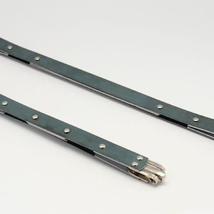 Könnte beinhalten: Zwei antike Schuhspanner in Silber und Teal. Die Spanner haben einen langen, flachen, teal-farbenen Körper mit silbernen Akzenten und Nieten. Die Enden haben ein silbernes, mehrzinkiges Design.