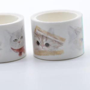A Roll Cute Kitten/Cat Washi Tape /Masking Tape 30mm wide x 3M No.12412