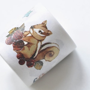 Retro Wide Washi Tape Bird Squirrel Bunny Masking Tape 40mm Wide x 5M Long No.12944