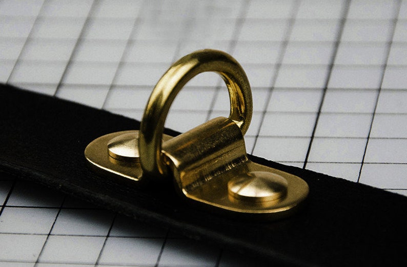 May include: A brass D-ring attached to a black leather strap. The D-ring has two brass rivets on the back.