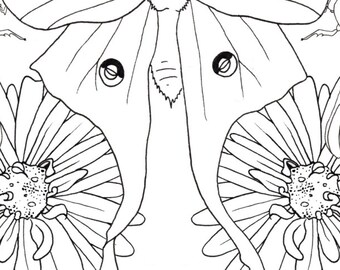 Beetle And Butterfly With Flowers Adult Colouring Page