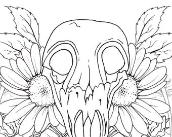 Bird Skull and Feathers Adult Colouring Page