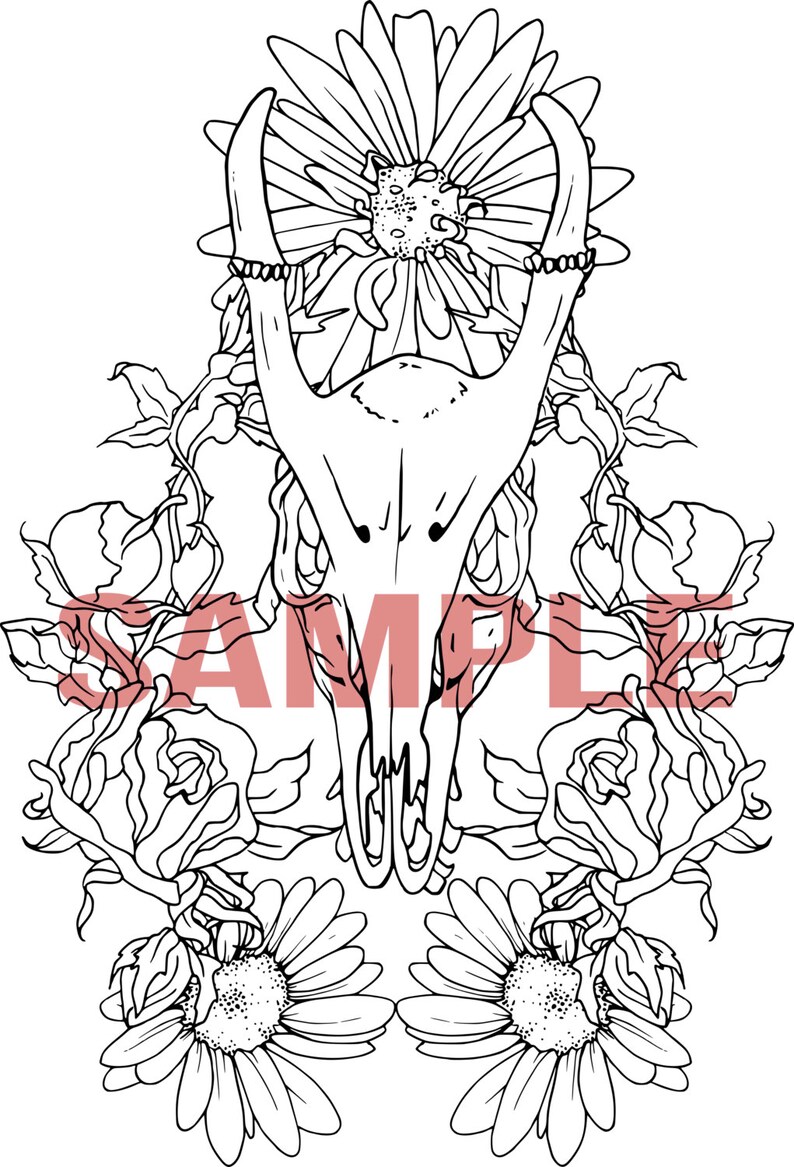 Adult Colouring Page Muntjac Deer Skull With Flowers - Etsy
