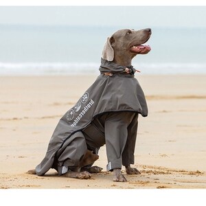 River island dog raincoat top