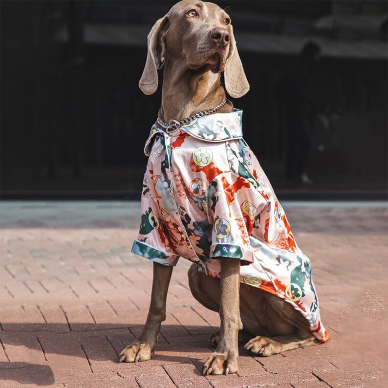 Medium and Large Dog Hawaiian Shirts, Large Dog Jackets, Dog Tshirts